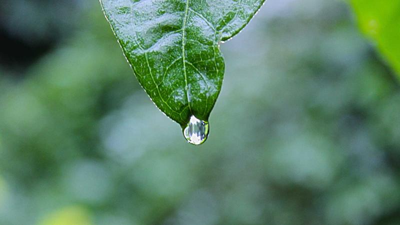 问鼎app深度解析：从下载到上手